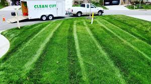 We offer a wide range of lawn care and snow removal services in the fm area. Clean Cut Lawn Care Services Kreu Facebook