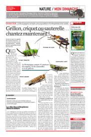 Le doublement du ‹ l › viendrait de grésiller. Champ Du Bruit