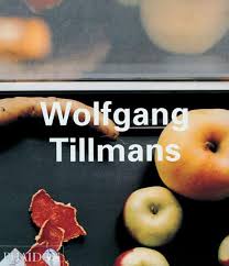Wolfgang Tillmans von Peter/Stephen Halley (kartoniertes Buch)