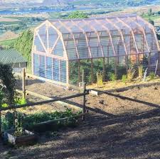 Get arcadia quality greenhouse construction in a kit you can assemble. 30 Diy Backyard Greenhouses How To Make A Greenhouse