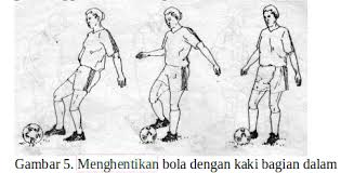 We did not find results for: 7 Teknik Menghentikan Bola Dalam Sepak Bola Dan Gambarnya