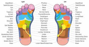 20 Ways You Can Help Painlessly Cleanse Your Entire Body Reflexology Foot Chart Reflexology Chart Foot Reflexology