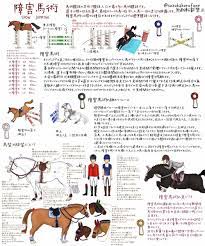 7月24日（土）から開催される「東京2020オリンピック 馬術競技」のテレビ中継が以下のスケジュールで放送されます。世界トップクラスの人馬による熱戦をお楽しみください。 1．放送局 グリーンチャンネル ※無料放送 2．放送 Co2a6qvecgyy3m