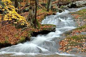 Cunningham falls state park is located in the picturesque catoctin mountains. Cunningham Falls State Park