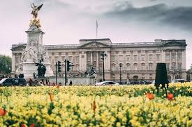Buckingham palace has 775 rooms including 19 state rooms, 52 royal and guest bedrooms, 188 staff bedrooms, 92 offices and 78 bathrooms. Buckingham Palace Opened Its Doors For Public For The First Time On This Day In 1993