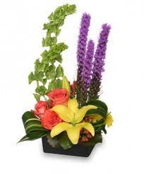We did not find results for: The Jungle Your Local St Paul Ab Florist Located Downtown On Main Street