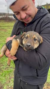 Every Life Counts Rescue added...