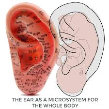About Ear Seeds Products And Education