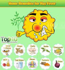 Home Remedies For Hay Fever Top 10 Home Remedies Natural Allergy Relief Allergy Remedies Remedies