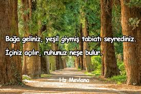 Renkler kişisel deneyimlerimize, çocukluğumuzda ve bilim ile psikolojinin anlamaya çalıştığı bir sembolizme dayalıdır. Yesil Ile Ilgili Guzel Sozler Guzel Sozler Guzel Mesajlar