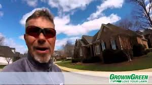 Crape Myrtle Pruning