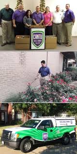 Pied piper pest control was started back in 2004 by ralph dwight and kelli neville and we have been serving the durham region and gta ever since. 45 Pest Control In Dallas Ideas Pest Control Services Pest Control Pests