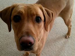 Ta-Taki Falls Waterfall