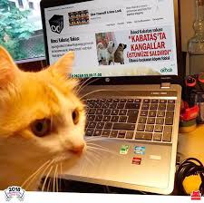 Kirmizi Kedi Yayinevi On Twitter Bende De Kopek Fobisi Var Ama Ben Sikiyi Gorunce Yalan Soylemiyorum