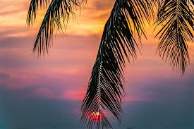 Free summer computer backgrounds, fantastic summer pics | 2016 4k. Beautiful Free Summer Wallpaper Desktop Backgrounds Vandelay Design