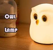 Cute Owl Kids Night Light,USB Rechargeable Cute Animal Lamps,Creative  Feeding Light at Night LED Color Changing Soft Silicone Lamp Christmas  Bedside ...