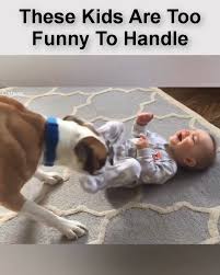 Pin By Sukran Kutun On Animals Beauty Video Funny Babies Cute Baby Animals Funny Animal Videos