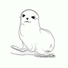 Cute Baby Seal Coloring Page Coloring Sky In 2020 Coloring Pages Baby Seal Cute Babies