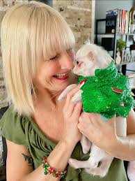 Greycee's first Christmas with her long-haired chihuahua