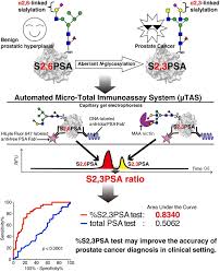 But hearing the words can still be scary. Ijms Free Full Text An Automated Micro Total Immunoassay System For Measuring Cancer Associated A2 3 Linked Sialyl N Glycan Carrying Prostate Specific Antigen May Improve The Accuracy Of Prostate Cancer Diagnosis