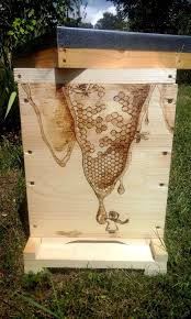 Honey Hive Rayon De Miel Wood Burning On A Beehive Pyrogravure Sur Une Ruchette 6cadre Eb Bienen Bienenbeute Bienenprodukte