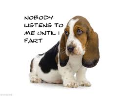 All the pictures on the website are actually our basset hounds (or some of our previous basset hound puppies). Basset Hound Funny Dog Refrigerator Tool Box Magnet In 2021 Basset Hound Funny Hound Puppies Basset Hound Puppy