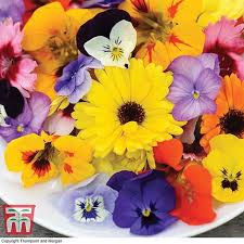 Fabulous organic edible flowers jan hand picked.weddings/celebrations. Edible Flower Mix Thompson Morgan