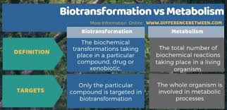 Difference Between Biotransformation and Metabolism | Compare the Difference  Between Similar Terms