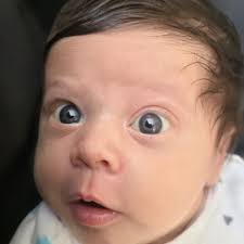 Should I be worried about my Tesla Model Y's battery health?