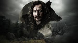 Sirius black, он же бродяга, англ. Sirius Black Respect Thread Gen Discussion Comic Vine