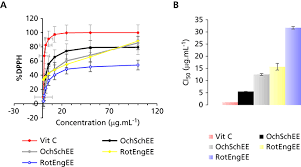 Image result for Ochna schweinfurthiana