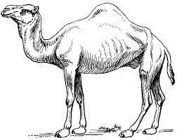 Asp.net core web apis and controllers often need to serialize json data to javascript clients. Serialize C Objects To Camelcase Json By Kristoffer Karlsson Medium