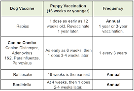 Low Cost Vaccines For Cats And Dogs Albuquerque Vetco
