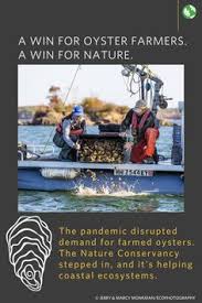 29 Speak Up For Nature Ideas In 2021 Nature Nature Conservation Climate Change Effects