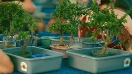 Bonsai & Brews at Broad Street Brewing Co.
