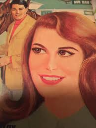 A couple more thrift store finds to illustrate I like more than vintage  pulps, sci-fi, music and TV related paperbacks. I love the Tony Curtis and  Natalie Wood jacket art