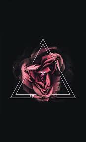 Dark Roses Aesthetic Wallpapers On Wallpaperdog I gonna come out to my highschool friends tomorrow oh boy. dark roses aesthetic wallpapers on
