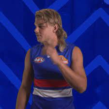 We did not find results for: Aussie Rules Football Dogs Gif By Western Bulldogs Find Share On Giphy