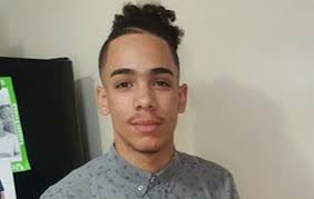 Lee Manuel Paulino Viloria-Paulino (2000-2016)