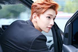 SEVENTEEN) Joshua ~ Could this be Fate?