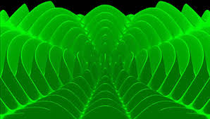 Https Encrypted Tbn0 Gstatic Com Images Q Tbn And9gcqtlow8uvfyrgr Lyqxgdaddo3txpltiskh9w Usqp Cau