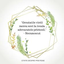 Toate florile și cadourile sunt pentru tine. Cele Mai Bune Citate Despre Prietenie Prietenul Meu Virtual