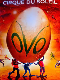 Cirque Du Soleil S Ovo Drove Me Buggy In A Nice Way Cirque Du Soleil Cirque Performance Artist