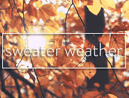Image result for autumn is sweater weather gif