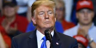 'Unhappy with the narrative': Trump privately seething about Harris' crowd  sizes