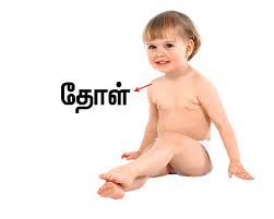 Maybe you would like to learn more about one of these? à®‰à®Ÿà®² à®© à®ª à®•à®™ à®•à®³ Parts Of The Body Tamil Pronunciation World Tamil Academy à®‰à®²à®•à®¤ à®¤à®® à®´ à®• à®•à®² à®µ à®• à®•à®´à®•à®® Online Tamil Language Classes Spoken Tamil For Kids Tamil Lessons
