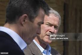 302 Dani George Stock Photos, High-Res Pictures, and Images