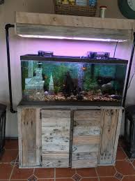Pin On Aquarium Decorations Ideas