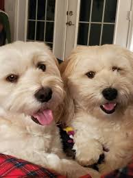 Before and After! Thanks @[100000069611269:Katie Bemis] Love you ❣️