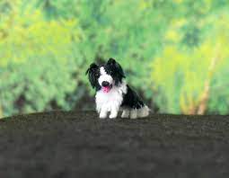 Mini Amigurumi Border Collie Dog Comes With Free Handmade Display Box Dollhouse Miniature Collie Dog Border Collie Dog Collie